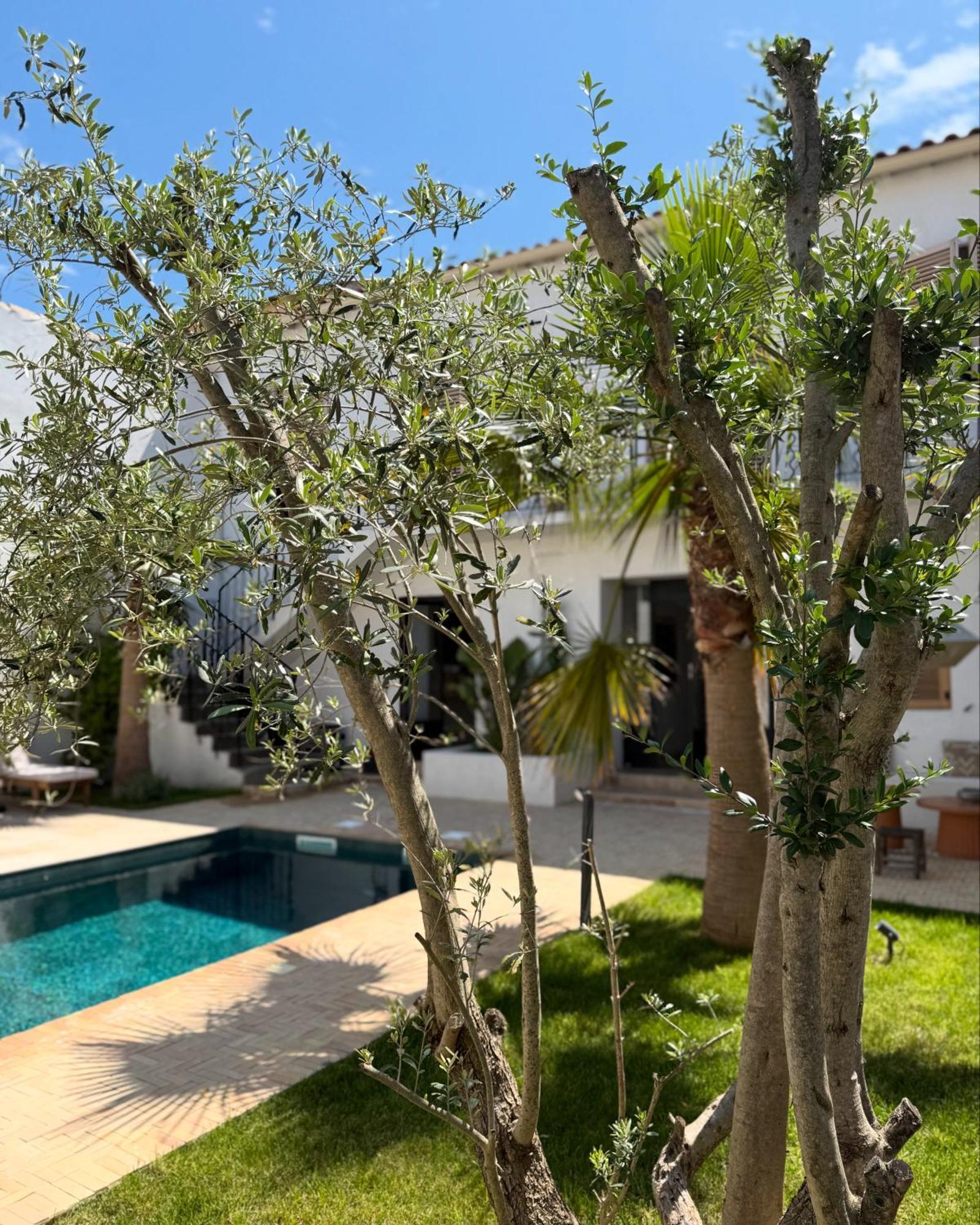 La Maison De Ville - Piscine - Spa Sète Dış mekan fotoğraf